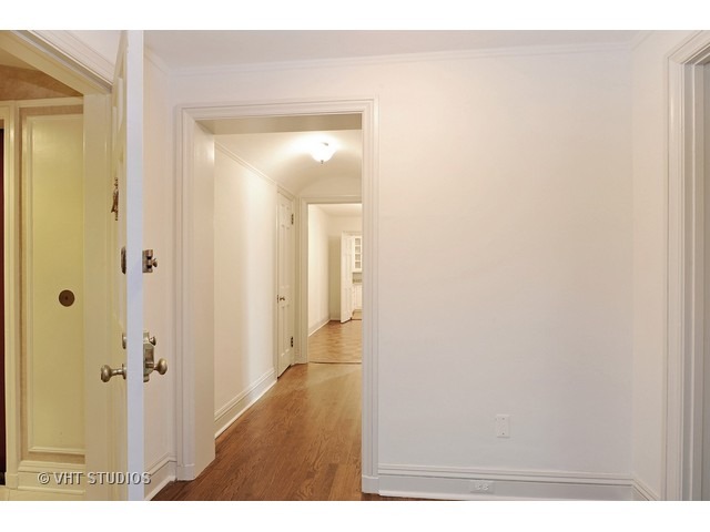 210 E Pearson St #4B, Chicago, IL 60611 photo 10