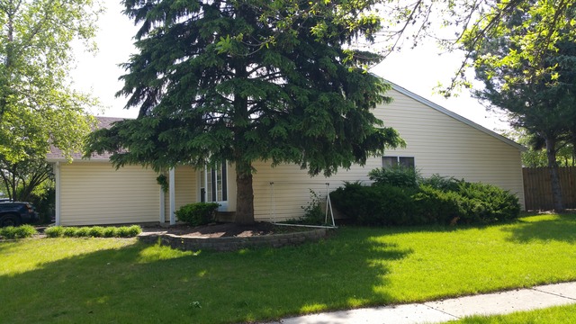 1315 Walden Dr, Elgin, IL 60120 photo 3