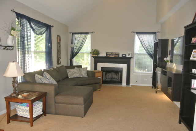 11614 S Derby Ln, Plainfield, IL 60585 photo 9
