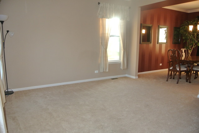 11614 S Derby Ln, Plainfield, IL 60585 photo 11