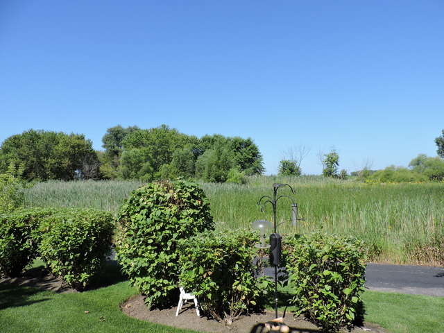 1556 Matthew Dr, Algonquin, IL 60102 photo 17