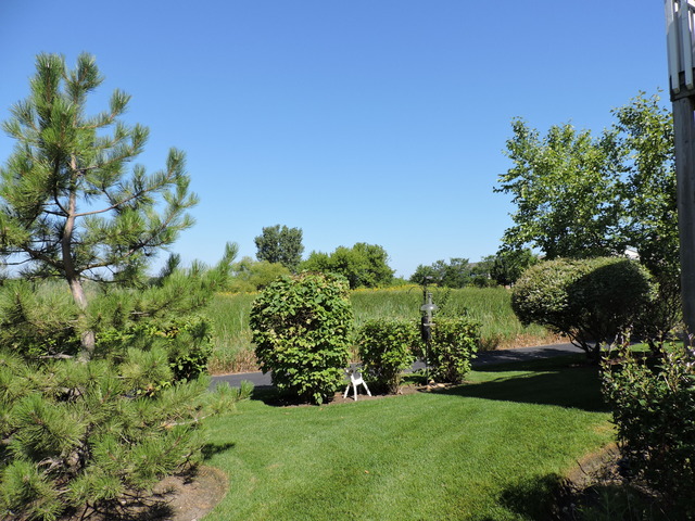 1556 Matthew Dr, Algonquin, IL 60102 photo 16