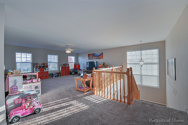 26611 Silverleaf Dr, Plainfield, IL 60585 photo 22