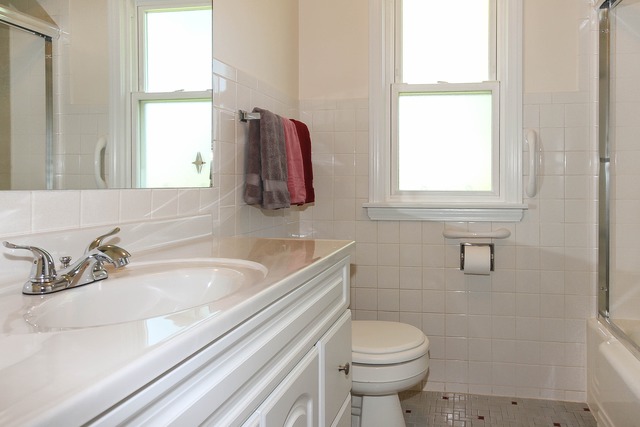 1351 E Lincoln Ave, Des Plaines, IL 60018 photo 11