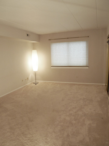 603 S River Rd #2f, Des Plaines, IL 60016 photo 10