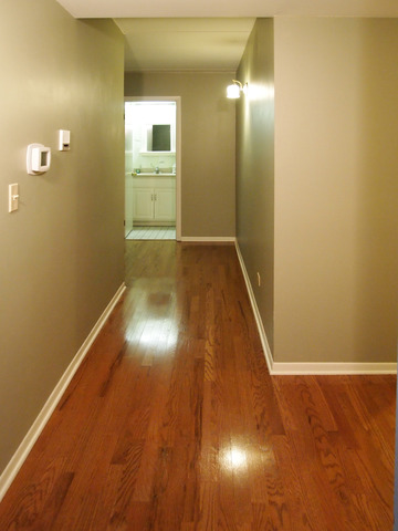 603 S River Rd #2f, Des Plaines, IL 60016 photo 5