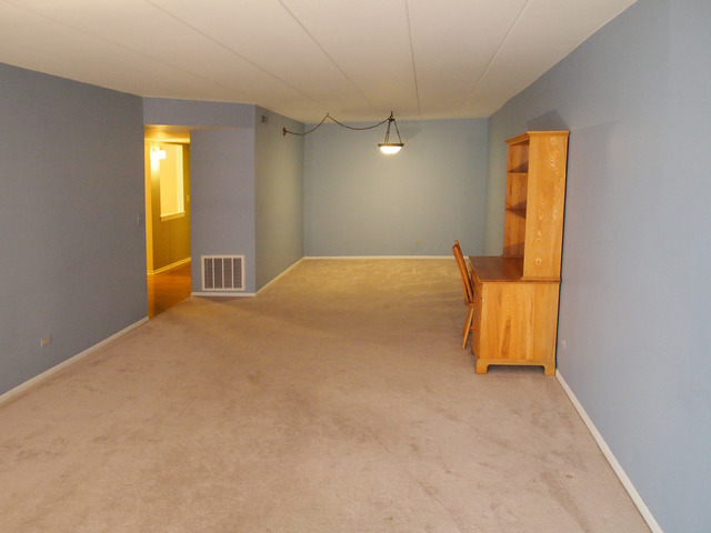 603 S River Rd #2f, Des Plaines, IL 60016 photo 6