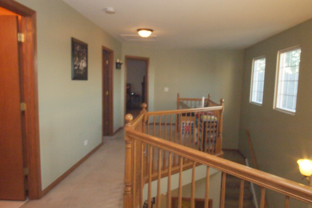 16465 Cagwin Dr, Lockport, IL 60441 photo 12