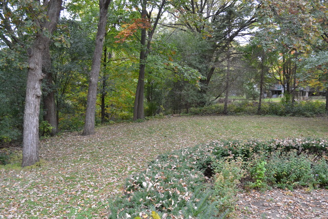 915 Forest Dr, Elgin, IL 60123 photo 22