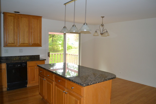 915 Forest Dr, Elgin, IL 60123 photo 6