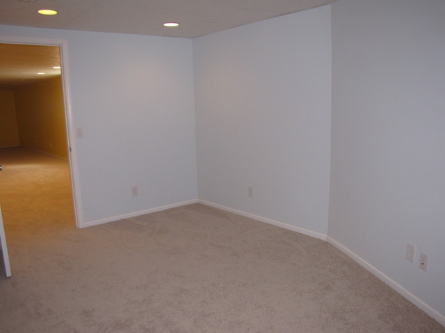 13709 Meadow Ln, Plainfield, IL 60544 photo 18