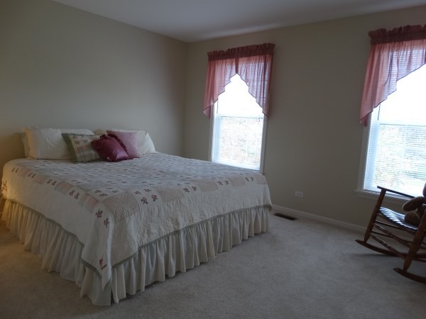 1537 Old Forge Rd, Bartlett, IL 60103 photo 17