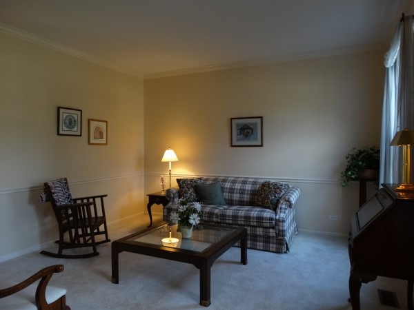 1537 Old Forge Rd, Bartlett, IL 60103 photo 4