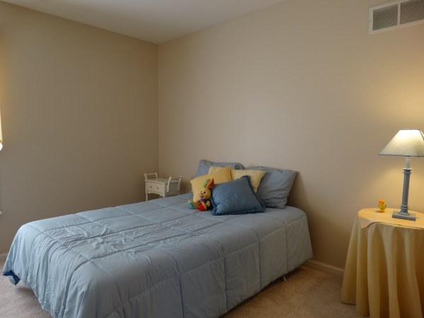 1537 Old Forge Rd, Bartlett, IL 60103 photo 19