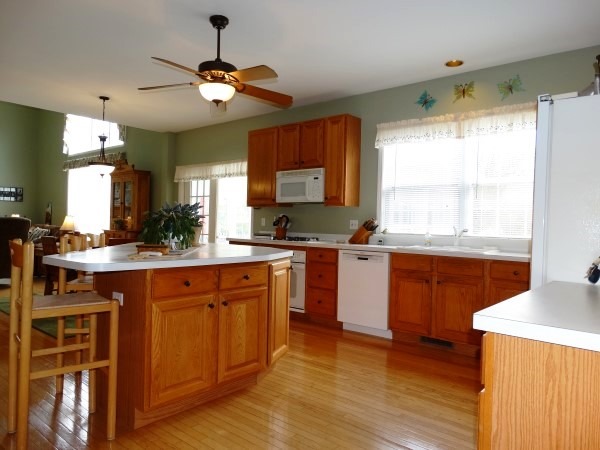 1537 Old Forge Rd, Bartlett, IL 60103 photo 6