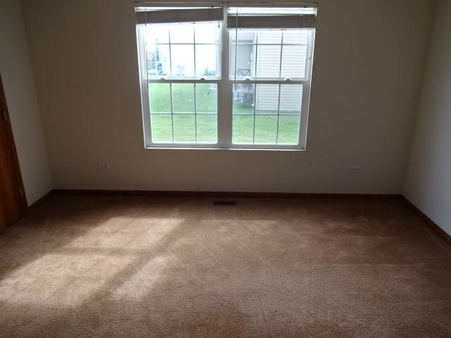 1906 Eagle Dr, Morris, IL 60450 photo 19