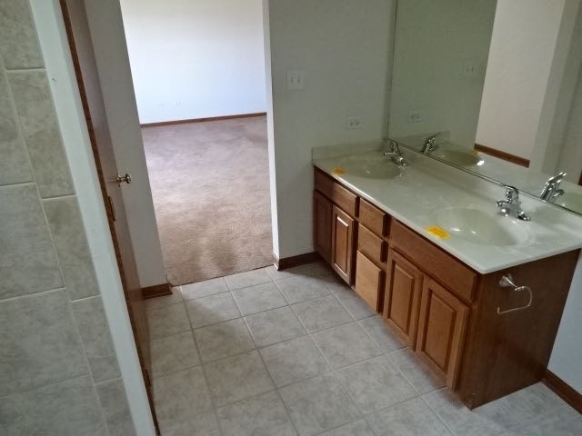 1906 Eagle Dr, Morris, IL 60450 photo 11