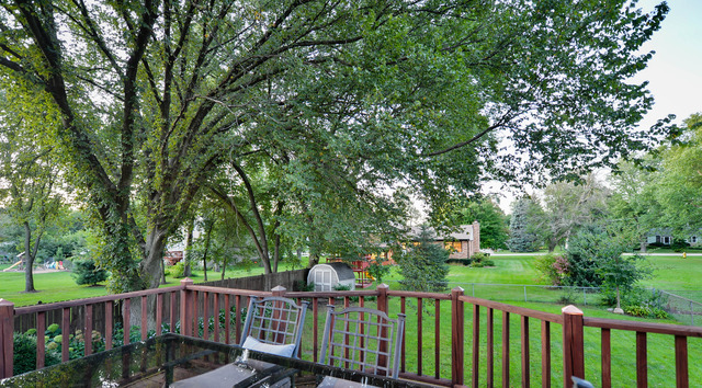 26 W256 Box Elder Ave, Wheaton, IL 60187 photo 16