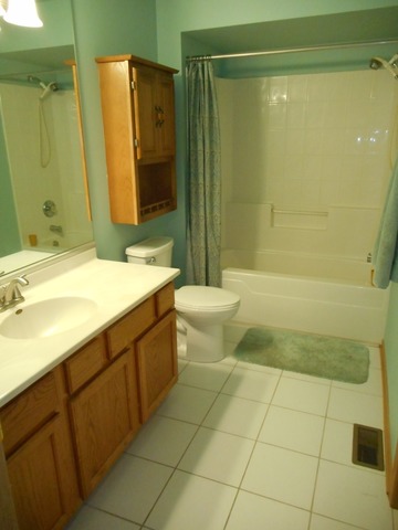 4740 W Lilac Ave, Monee, IL 60449 photo 13
