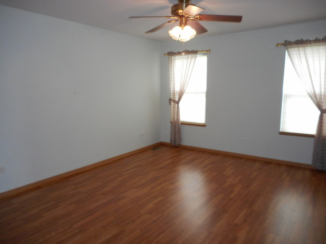 4740 W Lilac Ave, Monee, IL 60449 photo 9