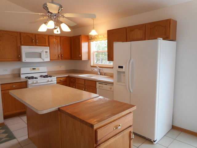 4740 W Lilac Ave, Monee, IL 60449 photo 5