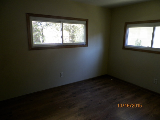 540 W 3rd St, Braidwood, IL 60408 photo 9