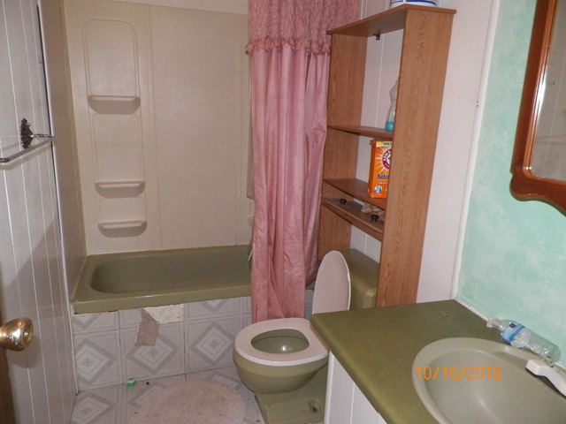 540 W 3rd St, Braidwood, IL 60408 photo 5