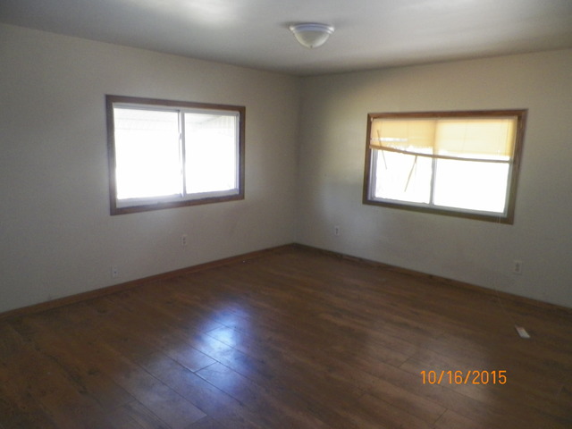 540 W 3rd St, Braidwood, IL 60408 photo 10