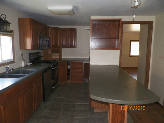 540 W 3rd St, Braidwood, IL 60408 photo 4