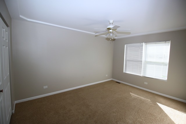 8235 W Pauling Rd, Monee, IL 60449 photo 9