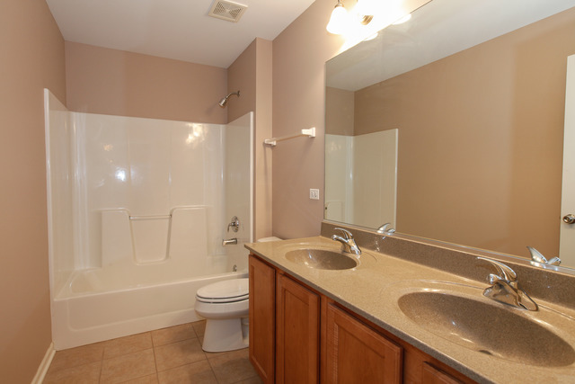 12172 Winterberry Ln, Plainfield, IL 60585 photo 19