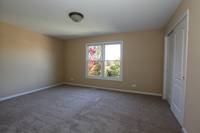 12172 Winterberry Ln, Plainfield, IL 60585 photo 20