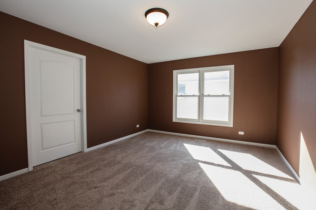 12172 Winterberry Ln, Plainfield, IL 60585 photo 21