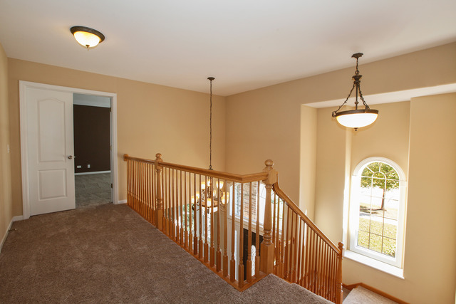 12172 Winterberry Ln, Plainfield, IL 60585 photo 13