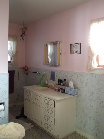 217 E James St, Dwight, IL 60420 photo 7