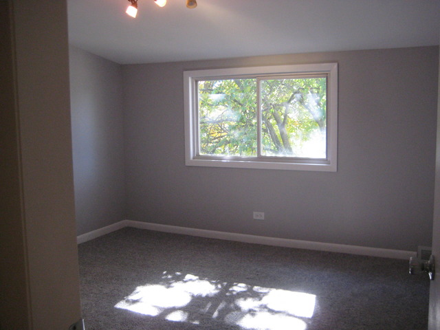 131 Grace Ave, Steger, IL 60475 photo 20
