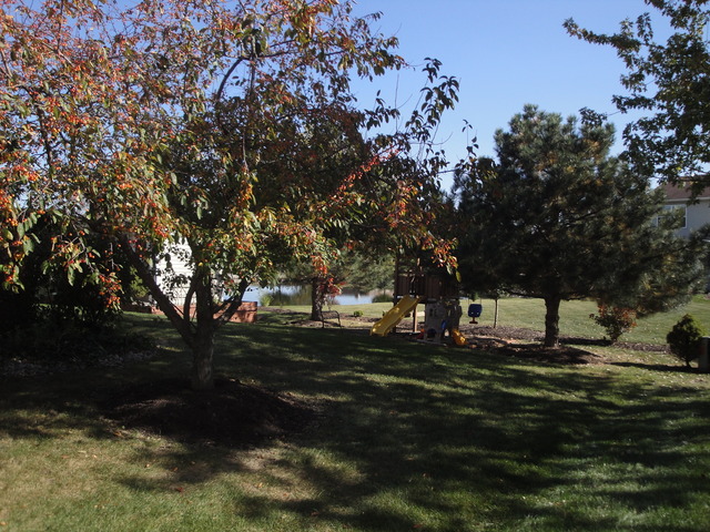7200 Faxton Ln, Plainfield, IL 60586 photo 4