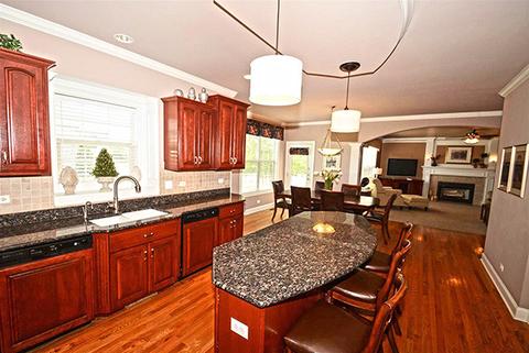 12851 Hawks Bill Ln, Plainfield, IL 60585 photo 4