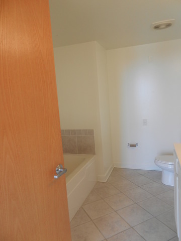 5 E 14th Pl #1704, Chicago, IL 60605 photo 6