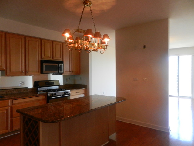 5 E 14th Pl #1704, Chicago, IL 60605 photo 2