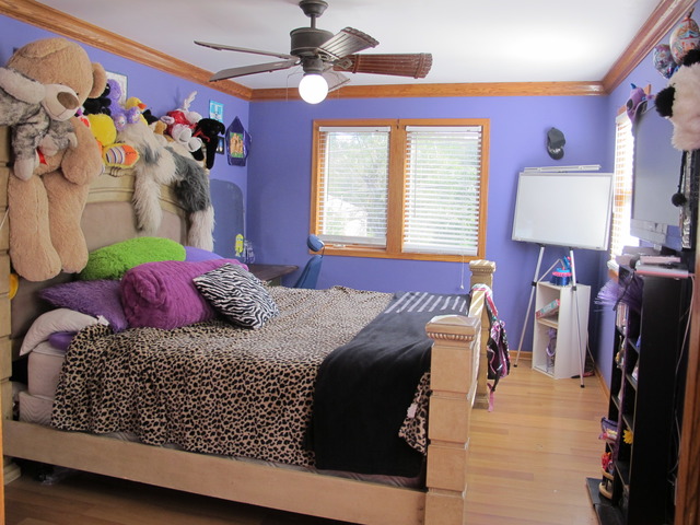 4 N224 9th Ave, Addison, IL 60101 photo 20