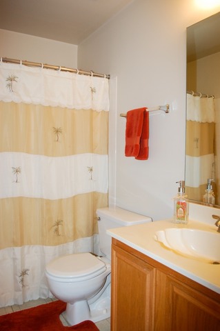 406 Cromwell Cir #3, Bartlett, IL 60103 photo 8