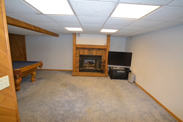 505 W Devon Ave, Bartlett, IL 60103 photo 18