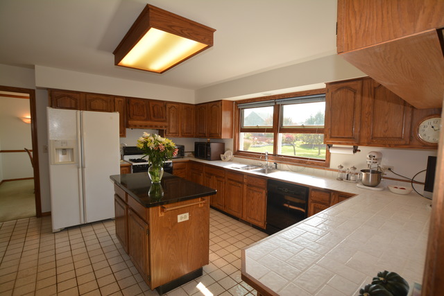 505 W Devon Ave, Bartlett, IL 60103 photo 7