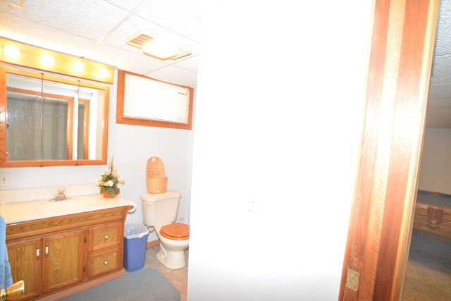 505 W Devon Ave, Bartlett, IL 60103 photo 19