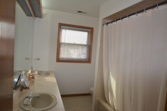 505 W Devon Ave, Bartlett, IL 60103 photo 11