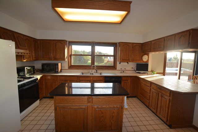 505 W Devon Ave, Bartlett, IL 60103 photo 6