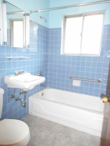 388 Stone Pl, Wheeling, IL 60090 photo 13