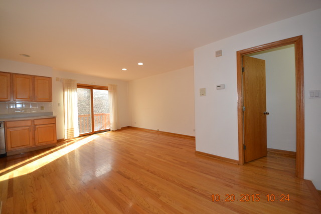 3457 S Emerald Ave #e, Chicago, IL 60616 photo 11