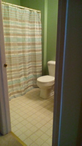 2105 Culver Ct, Plainfield, IL 60586 photo 14